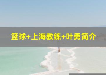 篮球 上海教练 叶勇简介
